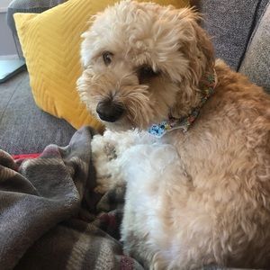 Meet your Posher, Katherine